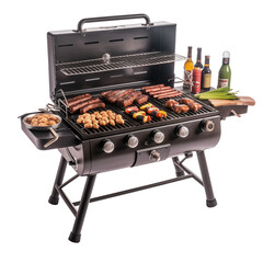 grilled meat on the grill