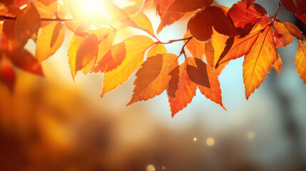 Fototapeta premium Red ,orange, yellow leaves on bokeh background