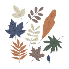 Autumn leaf isolated on white background simple cartoon flat style vector illustration
