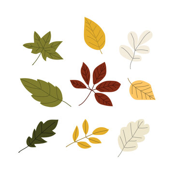 Autumn leaf isolated on white background simple cartoon flat style vector illustration © dedi
