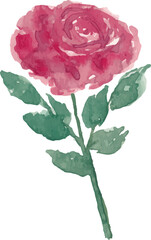 Watercolor flower painting illustration