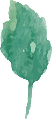 Watercolor leaf painting illustration