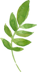 Watercolor leaf painting illustration