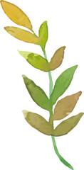 Watercolor leaf painting illustration