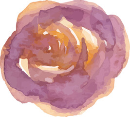 Watercolor flower painting illustration