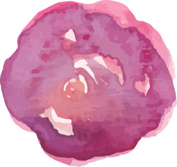 Watercolor flower painting illustration