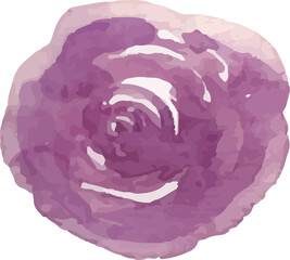 Watercolor flower painting illustration