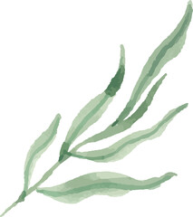 Watercolor flower painting illustration