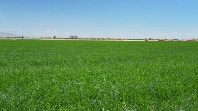Goodyear, AZ, USA, 4.12.23. Farmland field in Arizona, USA.