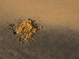 Beautiful sand background. Small, simple, yet powerful