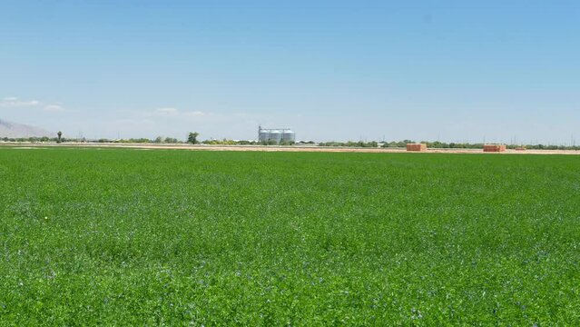 Goodyear, AZ, USA, 4.12.23. Farmland field in Arizona, USA.