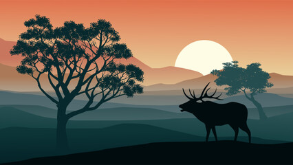 sunset in the woods with elk