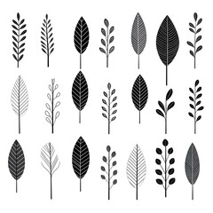 Branches in monochrome: showcasing the beauty of black and white leaves