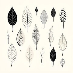 Minimalist sketches: illustrating the simplicity of plant leafs
