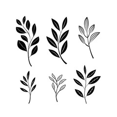 Tranquil compositions: hand-drawn art inspired by black and white plant leafs