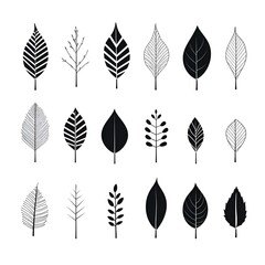Monochromatic sketches: exploring the beauty of foliage in grayscale