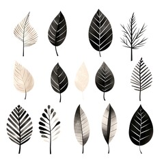 Monochrome illustrations: hand-drawn monochromatic plant leafs