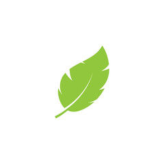 Logos of green Tree leaf  nature element vector
