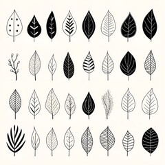 Minimalist sketches: capturing the essence of black and white leaves