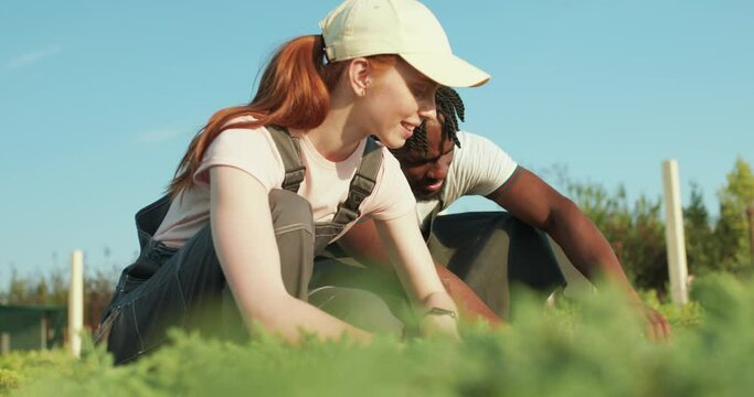 young black Male and caucasian female farm owners working with lush plants at greenhouse together, sitting together in farm at sunny summer day. ecology, flowers, nature, gardening concept