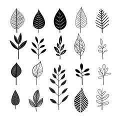 Hand-drawn contrast: capturing the beauty of monochromatic plant leafs