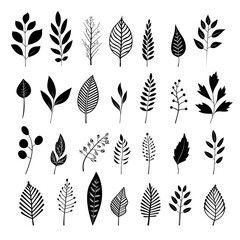 Sketches in monochrome: illustrating the beauty of black and white leaves