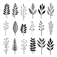 Branches in tranquility: exploring the elegance of black and white foliage