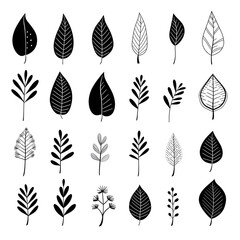 Monochromatic impressions: depicting the beauty of foliage in grayscale