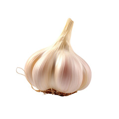front view of garlic vegetable isolated on transparent white background