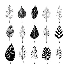 Botanical expressions: capturing the essence of black and white plant leafs