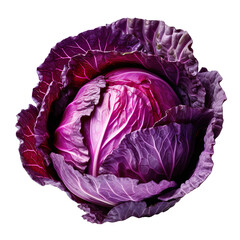 Obraz premium front view of Red Cabbage vegetable isolated on transparent white background