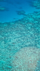 Fototapeta na wymiar Areal view of coral reef in australia from an helicopter