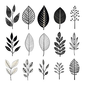 Branches of simplicity: exploring the elegance of black and white plant leafs