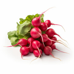 Illustration, AI generation. A bunch of round radishes with tops on a white background.