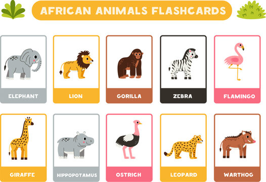 Cute African animals with names. Flashcards for learning English.