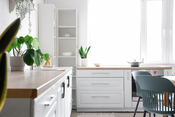 Interior of light kitchen with white counters, houseplants and window