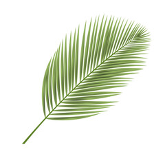 Tropical Leaf on White Background 3D Style