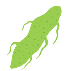 Plankton , Pytoplankton