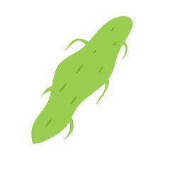 Plankton , Pytoplankton