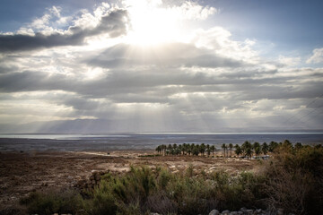 view from masada at sunrise, negev desert, palm trees, dead sea, desert, middle east