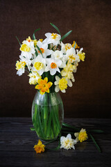 Large bouquet of daffodils close up. daffodils in a transparent vase on a dark background.