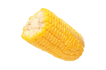 Cut fresh corn cob on white background