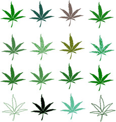 Green black red cannabis leaves isolated on white background,medical marijuana for menu recipes in restaurant or food center. The idea of making the sign of the place such as airport , school	
