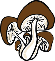 cartoon set of mushrooms from nature cooking