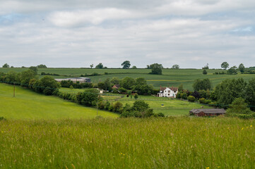 Obraz premium Marston Wood end, England