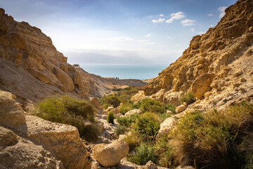 Fototapeta na wymiar ein gedi, oasis, dead sea, waterfalls, middle east, israel, beach, salt