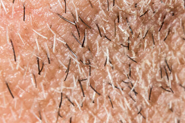 Gray man beard, male stubble close-up