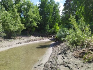 Dirty river in the forest