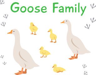 Goose, gander and goslings in different poses. Flat vector cartoon illustration. Isolated on white. Domestic farm livestock birds family, poultry, male female with offspring. Full length, side view