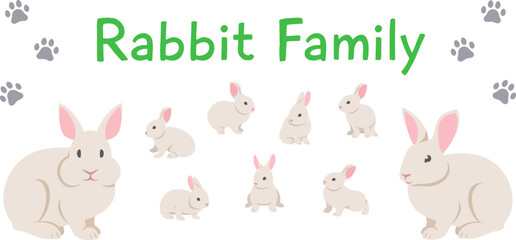Rabbit family. Buck, doe and cute little bunnies in different poses. Flat vector cartoon illustration. Isolated on white. Domestic farm animals, mature male and female with offspring. Full length
